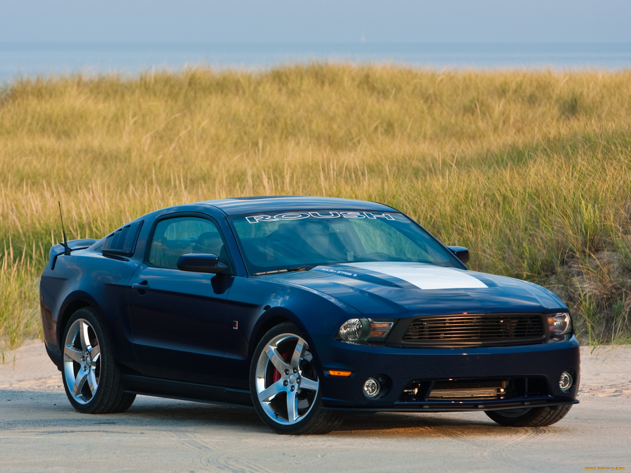 , mustang